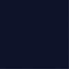 Navy Swatch